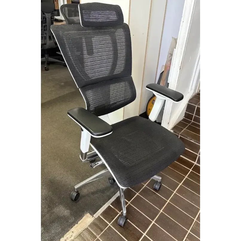 Euro Ergo Ergonomic Office Chair, Silver - thegoodchairs