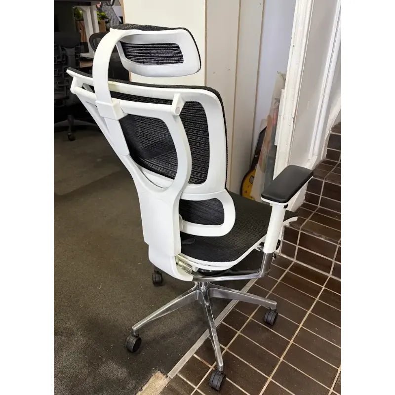 Euro Ergo Ergonomic Office Chair, Silver - thegoodchairs