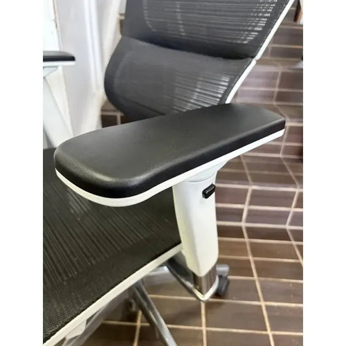 Euro Ergo Ergonomic Office Chair, Silver - thegoodchairs