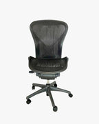 Herman Miller Aeron - Posturefit - No Arms - thegoodchairs