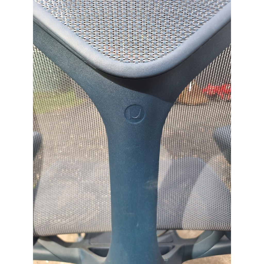 Herman Miller Cosm - Low Back Adjustable Arms - thegoodchairs