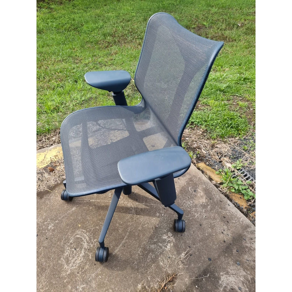 Herman Miller Cosm - Low Back Adjustable Arms - thegoodchairs