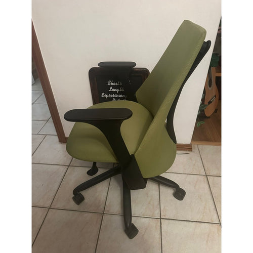 Herman Miller Sayl - Green - Fully Loaded - thegoodchairs
