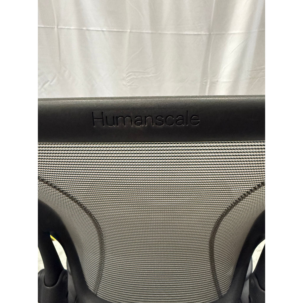 Humanscale Diffrient World - Office Chair - thegoodchairs