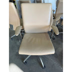 Zenith Invention Medium Back Executive Chair, Beige - thegoodchairs